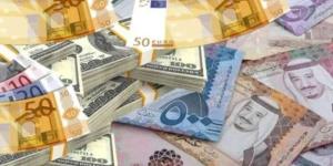 أسعار العملات العربية والأجنبية في مصر اليوم.. الأربعاء 2-7-2025 - بلس 48