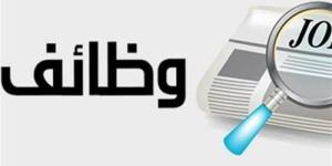 وظائف وزارة العمل 2025.. استمرار التقديم في محطة الضبعة - بلس 48