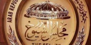 تقدم 4 مرشحين فى انتخابات مجلس الشيوخ بالمنوفية حتى الآن - بلس 48