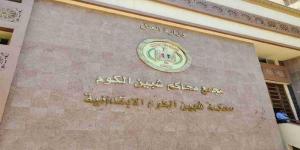 المشدد 10 سنوات لأم قتلت رضيعها عمدا داخل «بانيو» بالمنوفية - بلس 48