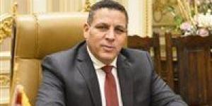 أحمد محسن: وعي المصريين صمام الأمان لاستقرار الدولة وتقدمها.. وانتخابات الشيوخ تمثل لحظة فارقة - بلس 48