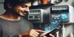 شحن كارت الكهرباء من إنستا باي.. هل تنجح الرقمنة في تسهيل الخدمات اليومية للمواطن؟ - بلس 48