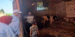 مدير بيطري الشرقية يتفقد أعمال التحصين ضد الحمى القلاعية بقرية الفدادنة - بلس 48