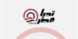 يانيك فيريرا يدرس ضم علي عبد المجيد لمعسكر الزمالك في العاصمة الإدارية - بلس 48