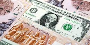 سعر الدولار مقابل الجنيه المصري اليوم الثلاثاء 15 يوليو 2025 «آخر تحديث» - بلس 48