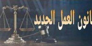 وزير العمل: استخدام «استمارة 6» لم يعد مقبولًا قانونيًا إذا لم تكن مصحوبة برغبة حقيقية من العامل - بلس 48