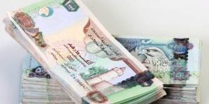 سعر الدرهم الإماراتي مقابل الجنيه المصري اليوم الأربعاء 16 يوليو 2025 - بلس 48