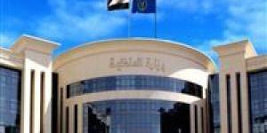 خلافات جيرة تتحول إلى مشاجرة في بلبيس والداخلية تكشف التفاصيل - بلس 48