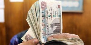 «احسب هتقبض كام».. جدول مرتبات شهر يوليو 2025 بعد الزيادة - بلس 48