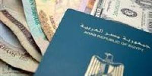 عودة المصريين من الخارج .....هل بدأ العائدون يعيدون رسم خريطة الاقتصاد المحلي المصرى - بلس 48