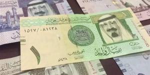 الريال السعودى يسجل 13.16 جنيه فى البنوك المصرية مع بداية تعاملات اليوم - بلس 48