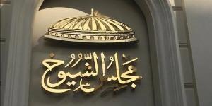 اليوم.. الوطنية للانتخابات تعلن القائمة النهائية لمرشحي الشيوخ وبدء الدعاية الانتخابية - بلس 48