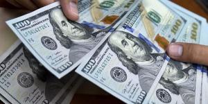 "النواب المصري" يتوقع استقرار سعر الجنيه أمام الدولار عند 50 جنيها لمدة 4 سنوات - بلس 48