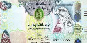 الدرهم الاماراتى يسجل 13.43 جنيه فى البنك المركزى المصرى - بلس 48