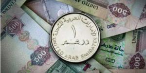 سعر الدرهم الإماراتي مقابل الجنيه اليوم الإثنين 21 يوليو 2025 - بلس 48