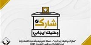 "شارك وخليك إيجابي".. حملة للتوعية بأهمية المشاركة في انتخابات مجلس الشيوخ 2025 - بلس 48