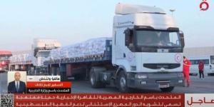 متحدث «الخارجية»: مصر قدمت 70% من مساعدات غزة وتدعم سلامًا يعيد الحقوق - بلس 48