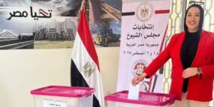 انطلاق التصويت في انتخابات مجلس الشيوخ للجاليات المصرية في الكويت والسعودية والأردن والبحرين - بلس 48