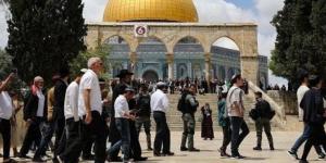 الخارجية الفلسطينية تدين دعوات اقتحام المسجد الأقصى وتطالب بحماية دولية للقدس - بلس 48