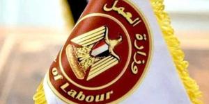 وزارة العمل المصرية: فرص عمل في السعودية برواتب تصل إلى 103 آلاف جنيه شهريًا - بلس 48