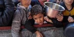عشرات الشهداء والجرحى باستهداف الاحتلال منتظري المساعدات وخيام النازحين - بلس 48