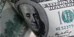 سعر الدولار في البنك المركزي اليوم 3 اغسطس 2025|تفاصيل - بلس 48