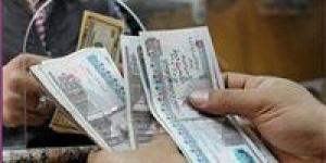 زيادة المرتبات في يوليو.. كم تحصل بحسب وظيفتك؟ - بلس 48