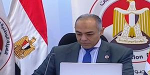 أحمد البنداري: اللجان الانتخابية ستعلن الحصر العددي.. والهيئة منوط بها إعلان النتائج - بلس 48