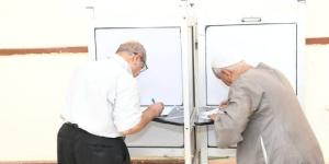 المؤشرات الأولية لنتائج الجولة الأولى لانتخابات مجلس الشيوخ بقنا - بلس 48