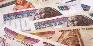 العوائد الشهرية على شهادات الادخار في بنكي مصر والأهلي - بلس 48