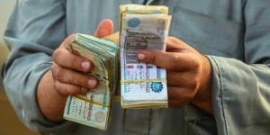 خبراء يتوقعون هبوط معدل التضخم في مصر وتأثيره على قرار «المركزي» - بلس 48