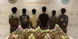 القبض على 6 أشخاص لمحاولتهم تهريب كمية من نبات القات المخدر بمنطقة عسير - بلس 48