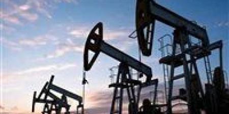 70.52 دولارًا لبرنت و68.61 للخام الأمريكي.. أسعار النفط تواصل الارتفاع.. تفاصيل - بلس 48