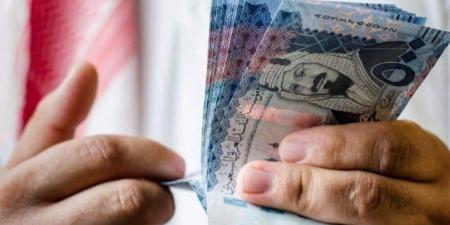 أسعار الريال السعودي في مصر اليوم.. الثلاثاء 15 يوليو 2025 - بلس 48