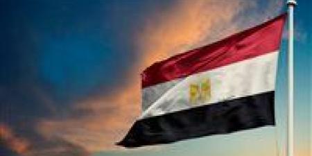 «رسالة تضامن».. مصر تعزي العراق في ضحايا حريق الكوت - بلس 48
