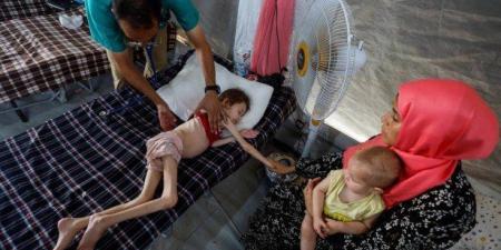 استشهاد طفلة فلسطينية بسبب الجوع في دير البلح وتحذير من مجاعة تهدد آلاف الأطفال في غزة - بلس 48