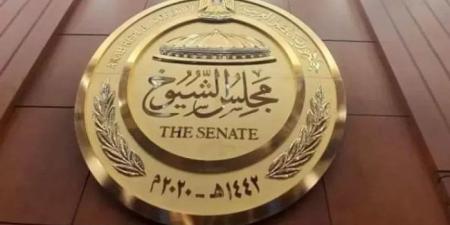 428 مرشحًا.. «الوطنية لـ الانتخابات» تعلن القائمة النهائية لـ مرشحي مجلس الشيوخ 2025 - بلس 48