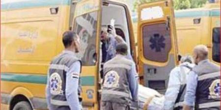 صعق عامل كهربائيًا داخل محطة وقود شهيرة بالشيخ زايد.. والأمن يكشف التفاصيل - بلس 48