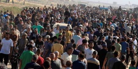 القاهرة الإخبارية: غارات إسرائيلية على قطاع غزة تسفر عن 6 شهداء وإصابة العشرات - بلس 48