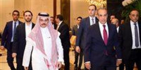 وزير الخارجية:نرفض أي محاولات يائسة للمساس بالعلاقات التاريخية المصرية السعودية - بلس 48