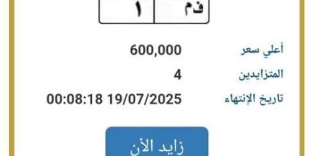 وصلت لـ 600 ألف جنيه.. مزايدة نارية على لوحة سيارة مميزة - بلس 48