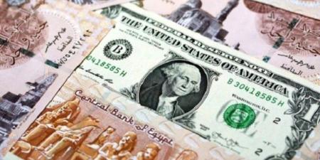 التحركات الآن.. سعر الدولار في مصر اليوم الجمعة 18 يوليو 2025 - بلس 48