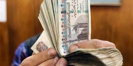 حالات تتسبب في توقف صرف المعاش.. قانون التأمينات يوضح أبرزها - بلس 48