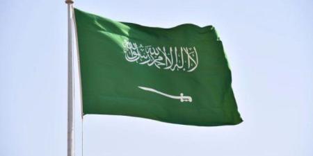 السعودية تثمن دور قطر في التوصل لإعلان مبادئ بين حكومة الكونغو الديمقراطية وتحالف "23 مارس" - بلس 48