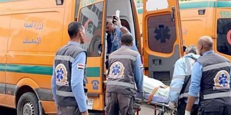 بسبب مشادة كلامية.. زوجة تقتل زوجها داخل منزلهما بقرية مجول بالقليوبية - بلس 48