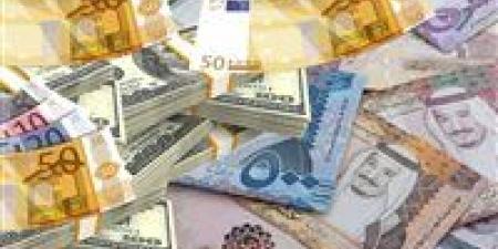 أسعار العملات العربية والأجنبية اليوم الأحد 20 يوليو - بلس 48