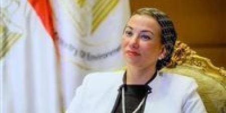 "بعد مغادرتها وزارة البيئة.. من هي ياسمين فؤاد وأبرز محطاتها المحلية والدولية" - بلس 48