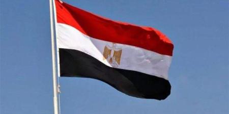 مصر ترحب بالبيان الصادر عن 25 دولة حول الوضع في الأراضي الفلسطينية - بلس 48