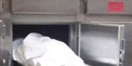 مصرع كهربائي أثناء عمله علي أحد الاعمده بكفر الشيخ - بلس 48