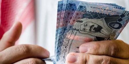 أسعار الريال السعودي في مصر اليوم.. الثلاثاء 22 يوليو 2025 - بلس 48